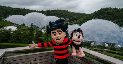 Dundee heading to Cornwall as Beano legends set to spend summer at Eden Project