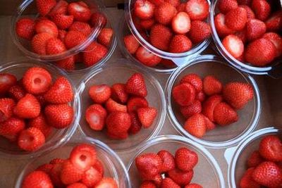 Farmers left with glut of strawberries and cherries after heatwave growth spurt