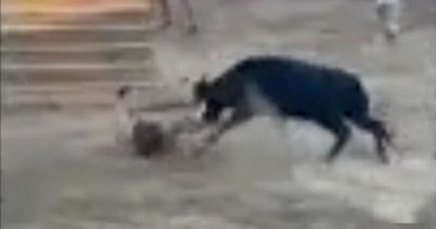 Man narrowly escapes death in horrific bull-running goring after three fatal attacks