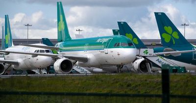 Irish passengers returning from Lanzarote left terrified after Aer Lingus flight runs low on fuel