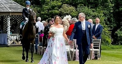 Erik the horse makes surprise appearance at wedding - as 'best man'