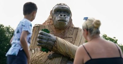 Giant gorilla installation wows crowds amidst final weeks of Bristol Zoo Gardens