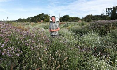 How Sussex farmers plan to rewild a nature-rich green corridor to the sea
