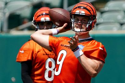 Joe Burrow spotted training with Jordan Palmer