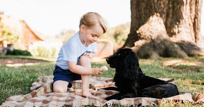 Prince George's name was chosen by William and Kate's late dog