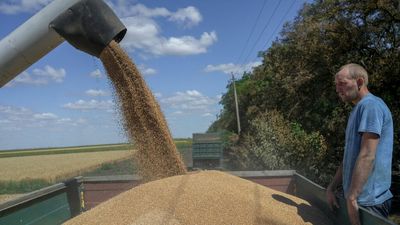 Russia and Ukraine sign deal to resume crucial grain exports