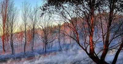 Firefighters attacked with golf balls as they fought blaze in heatwave