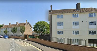 Man in mental health crisis who threatened people had a mob turn on him