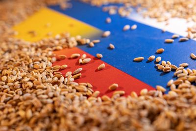 Factbox-U.N.-led deal to ensure safe export of Ukraine's grain