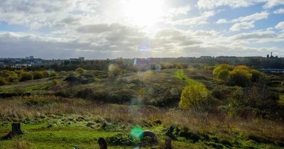 Calls made for improvements to Cardiff's Grangemoor Park