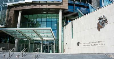 Former Dublin minors hurler caught with €2.7m of cocaine and cannabis jailed for nine years