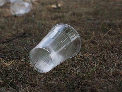 Single-use plastics ban to take full effect in Scotland