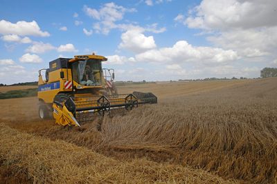EU plans to ease crop rotation rules as global food risks mount