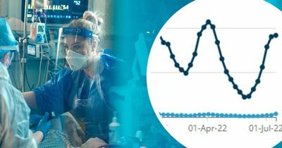 Latest Covid peak that has seen cases soar will be felt for MONTHS, Manchester's public health boss warns