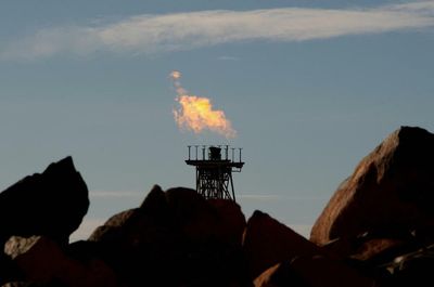 Fifty-year extension for Australia’s biggest CO2 emitter attracts record number of appeals