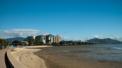 Popular Cairns beaches could be doomed to disappear as mudflats march on