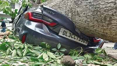 Trees put fear of life in Delhi, another one crashes