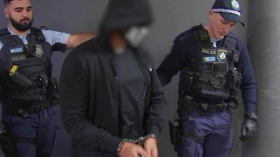 NSW man extradited from Thailand and charged with murder of Bradley Dillon in Sydney car park