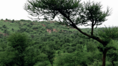 1,100 acres, many constructions — a tough challenge to remove them from Punjab Land Preservation Act land