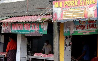 African swine fever: Animal husbandry department to cull pigs in Kerala