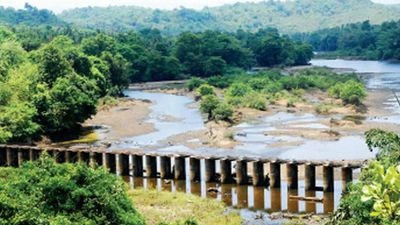Centre extends Mhadei water disputes tribunal's term by another year