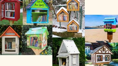 Little Libraries, Free at Last?