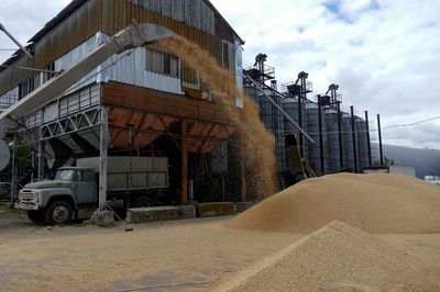 Ukraine urges UN, Turkey to force to Russia comply with grain export agreements