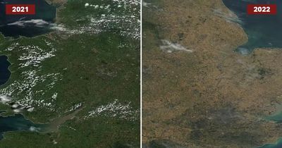 Worrying NASA satellite footage shows how dry and brown UK is now compared to a year ago