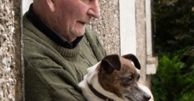 Elderly Roscommon man pleads for dog to be spared after court orders she be put down following incident