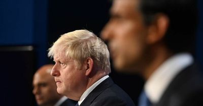 Boris Johnson should withdraw resignation, poll says, as 85% want him as PM