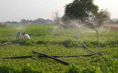 Farm budget helps Rajasthan farmers