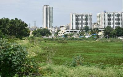 Don’t construct new roads or widen existing ones within Subramanyapura and Begur lake areas: Karnataka HC