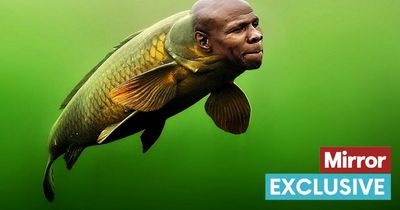Sports promoter Barry Hearn names fish after Chris Eubank and Ronnie O'Sullivan
