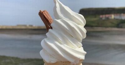 Mum's 'game-changing' 50p recipe makes 'Mr Whippy' ice cream with two ingredients