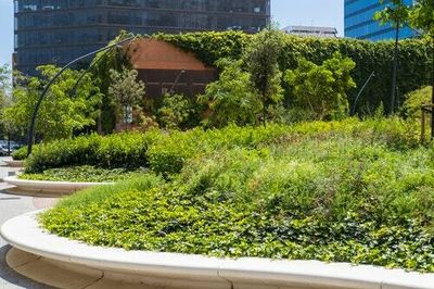 How parks can become epicenters of quiet gentrification