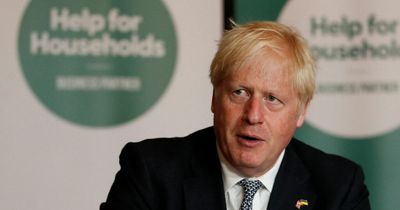 Boris Johnson urged to revoke resignation as shocking poll shows 85% still want him as PM