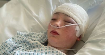 Schoolgirl 'dropped on her head' in playground will 'never be the same again'