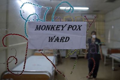 All you need to know about monkeypox after global emergency declared