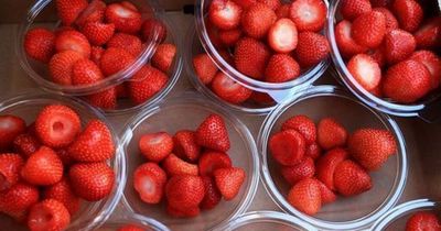 Heatwave produces bumper crops of strawberries and cherries
