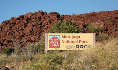 Federal government accused of ‘railroading’ traditional custodians over Burrup peninsula rock art site
