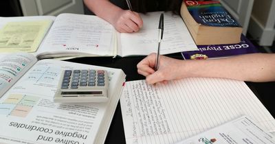 Liverpool mum shares positive reality of home schooling
