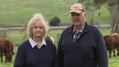 Foot-and-mouth disease spread worries Australian farmers, who want federal government to do more