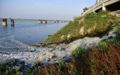 Nearly 50% of untreated sewage still being discharged in Ganga: NGT