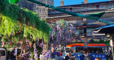 Hidden courtyard in Edinburgh named one of the 'best in UK' by the Times