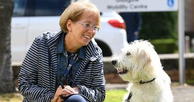 Lanarkshire guide dog training school appeals for puppy raisers