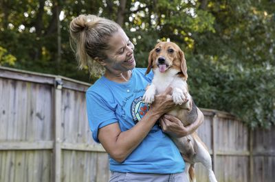 Rescue groups begin work to rehome 4,000 beagles bred for research