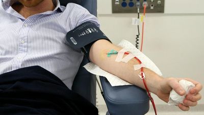End of 22-year 'mad cow' ban means more people can donate blood in Australia from today