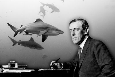 Woodrow Wilson's war on sharks