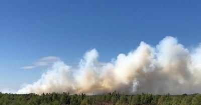 Surrey wildfire: Firefighters tackling inferno as blazes break out across UK