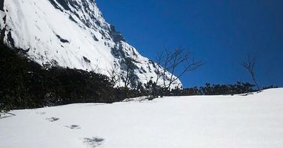 Army 'finds evidence of Abominable Snowman' as mysterious footprints discovered